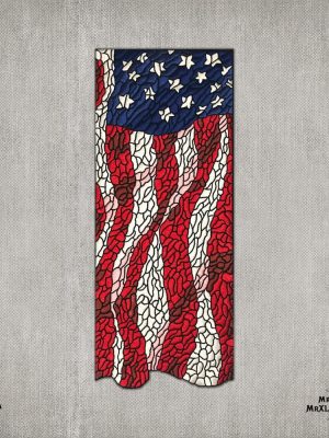 American Flag v.Mega Patch