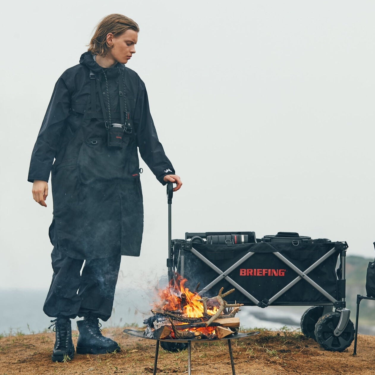 CARRY WAGON - Image 3