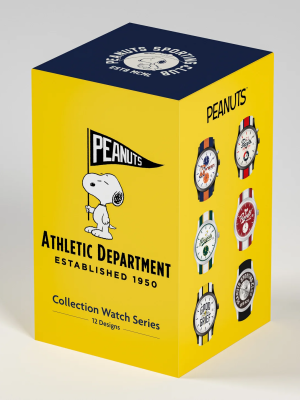 SNOOPY mystery boxes