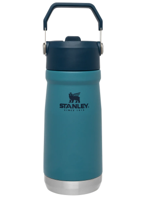 The IceFlow Flip Straw Water Bottle